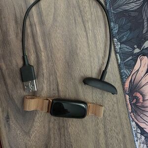 Fitness Tracker with Rose Gold Mesh Band